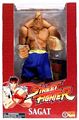 Street Fighter 10-Inch Rotocast
