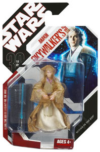 30th Anniversary 2008 - Spirit of Anakin Skywalker