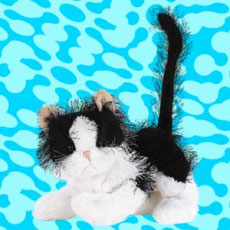 Webkinz Black and White Cat